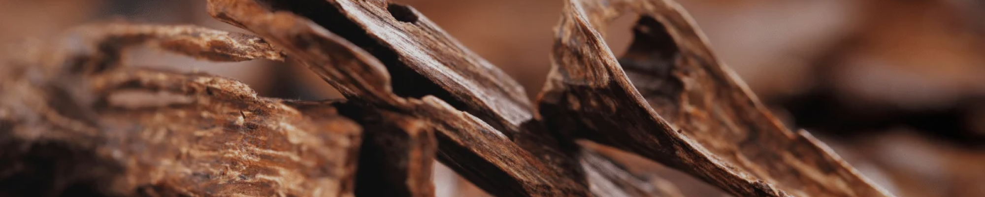 Oud - Afnan Perfumes - Egypt